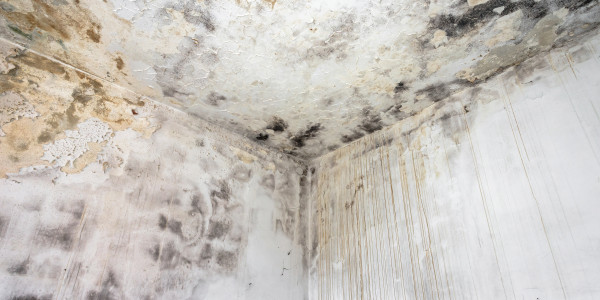 Rehabilitación y Restauración de Fachadas Valderrobres · Pintura Antihumedad / Antimoho para Humedades / Moho