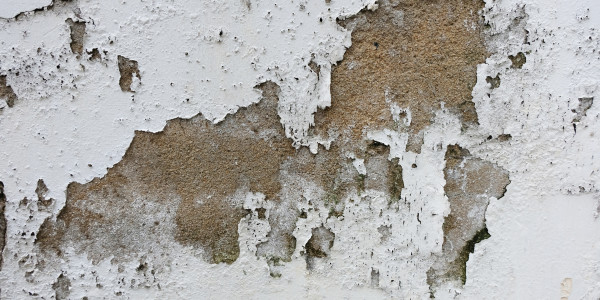 Pintar Fachadas de Empresas / Negocios / Locales Comerciales Sarrión · Pintura Antihumedad / Antimoho para Humedades / Moho
